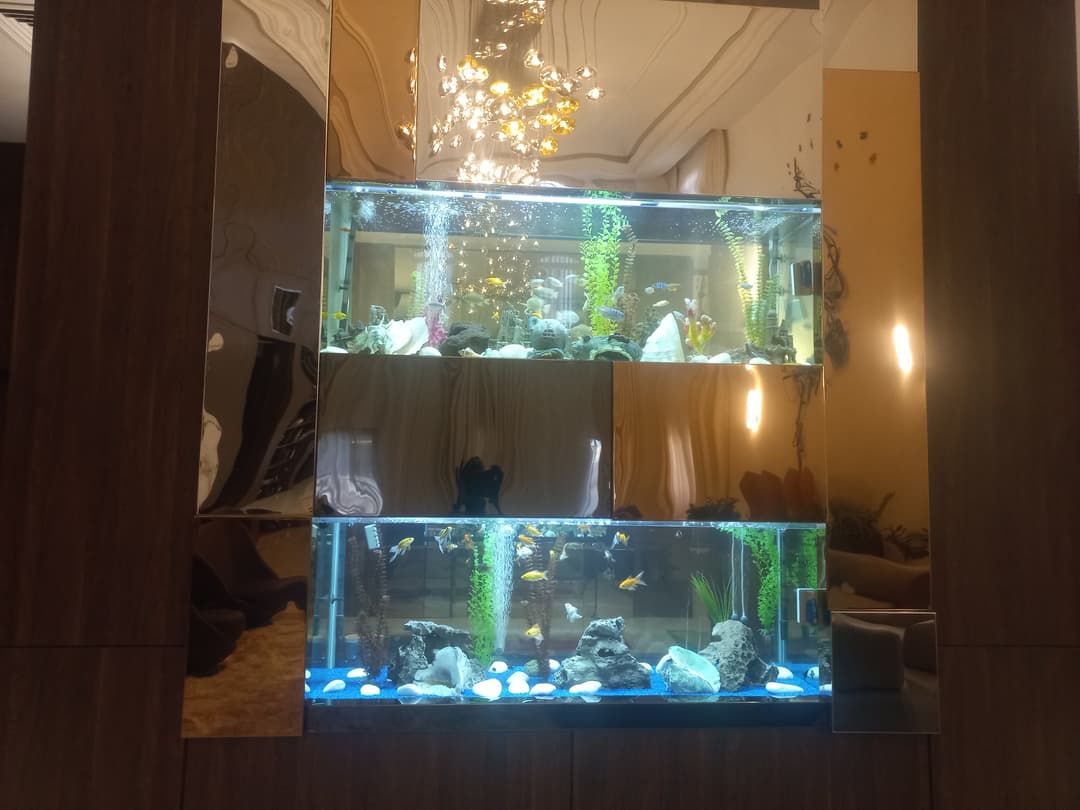 Mansion Renovation and Decoration