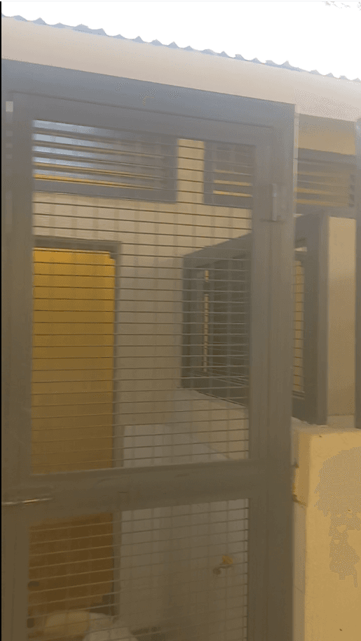 Dog Kennel