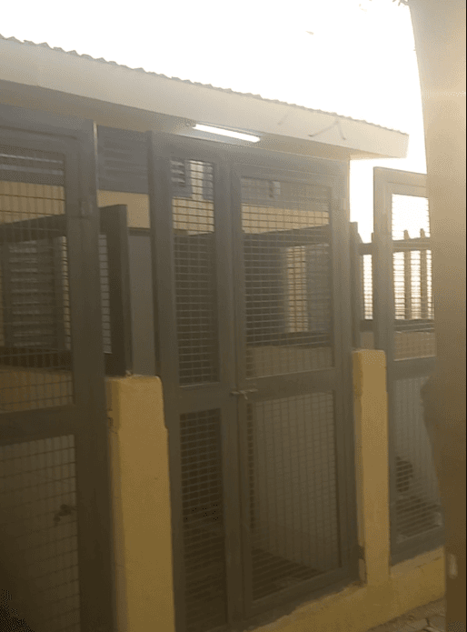 Dog Kennel