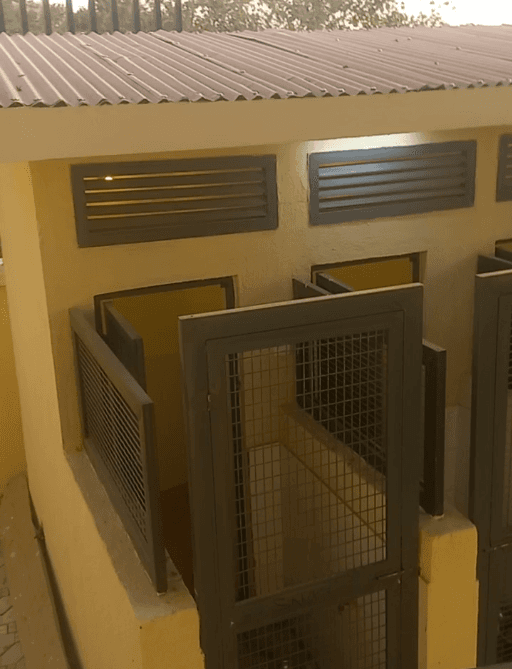 Dog Kennel